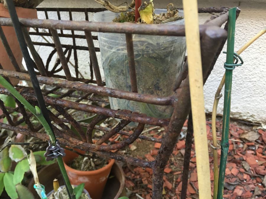 Long Raised Metal Planter Filled With Potted Plants - NOTE: More Pots Added [Photo 10]