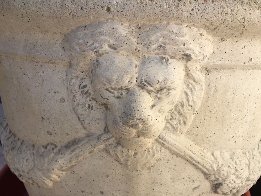 Large Potted Palm Tree [Photo 2]