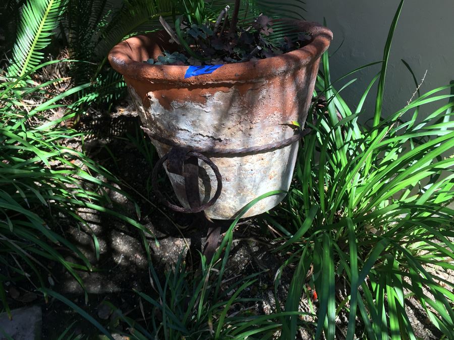 Large Potted Plant With Rustic Metal Pot Holder [Photo 6]