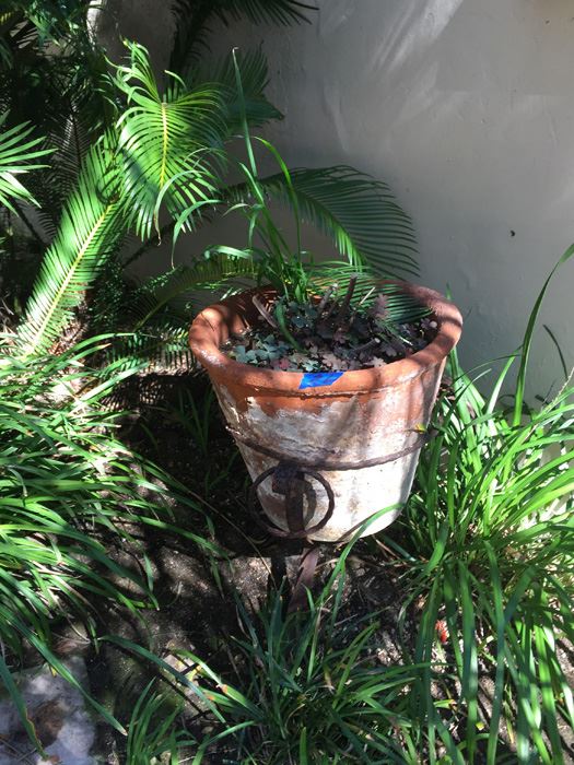 Large Potted Plant With Rustic Metal Pot Holder [Photo 3]