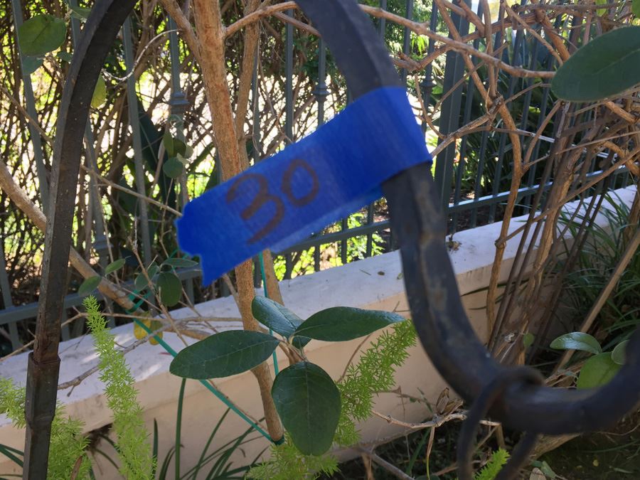 Hanging Pot With Metal Stand And Owl [Photo 2]