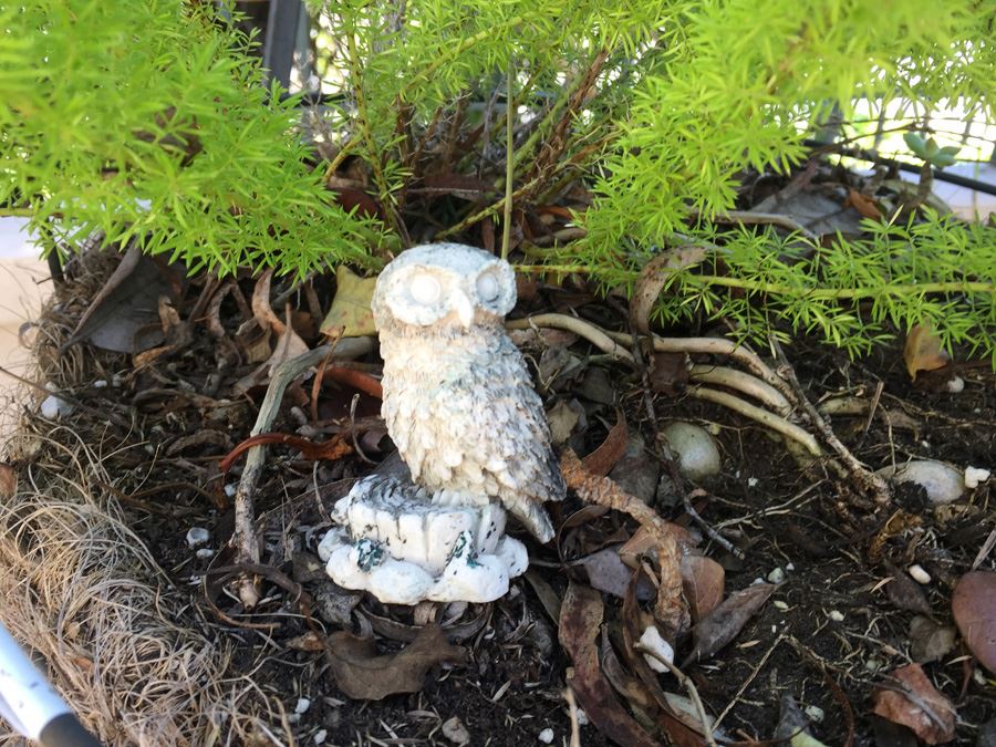 Hanging Pot With Metal Stand And Owl [Photo 3]