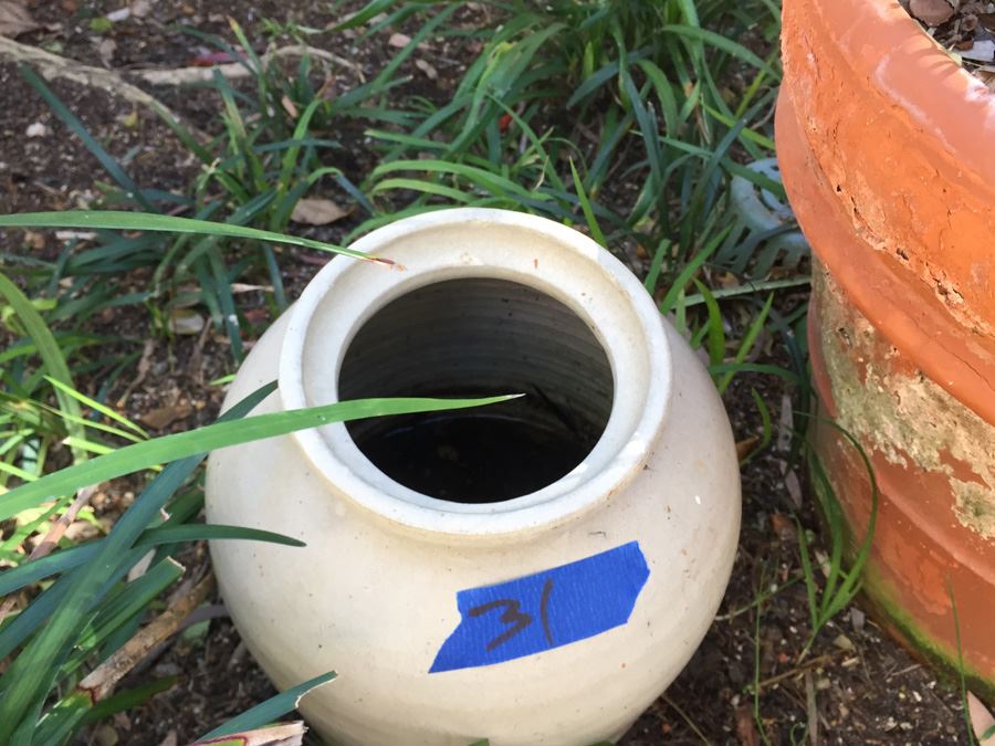 Pair Of Pots [Photo 4]