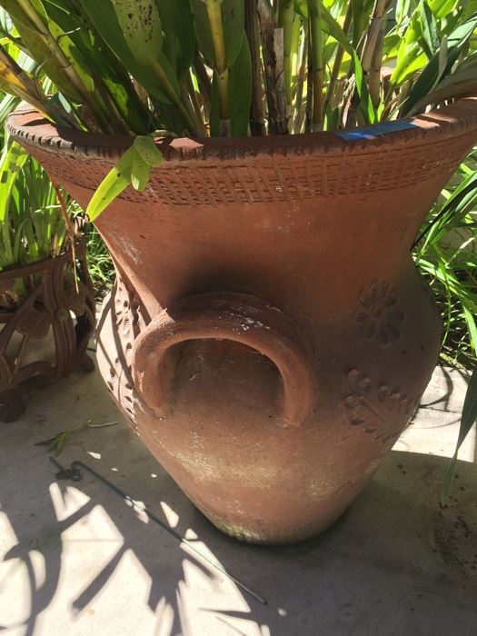 Very Large Potted Plant [Photo 3]