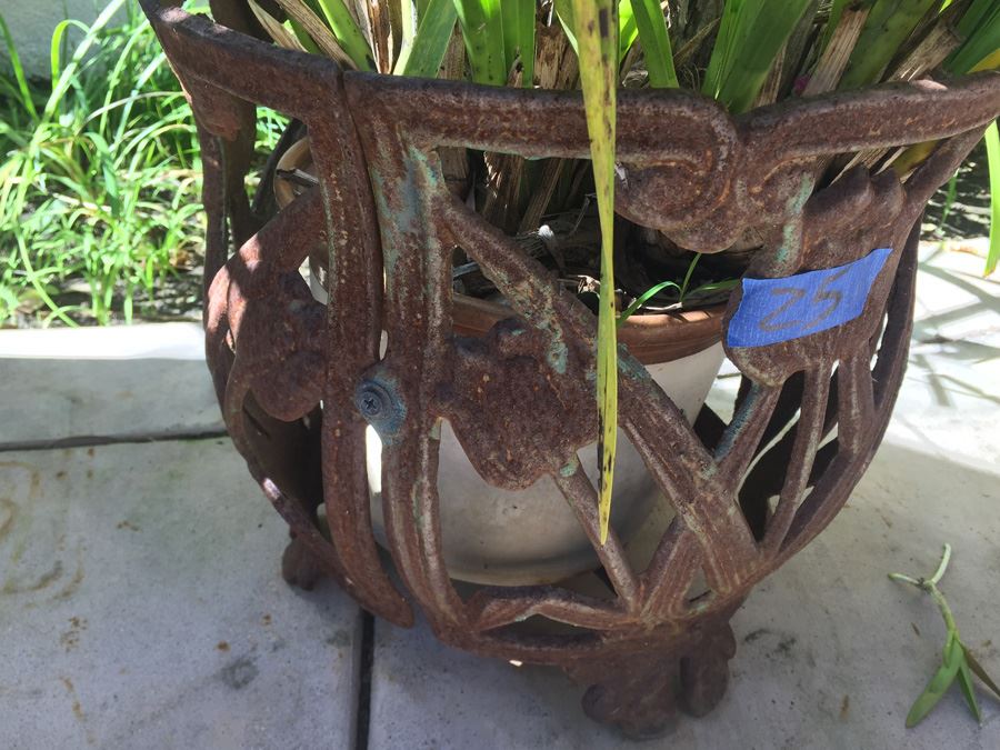 Metal Pot Holder With Potted Plant [Photo 3]