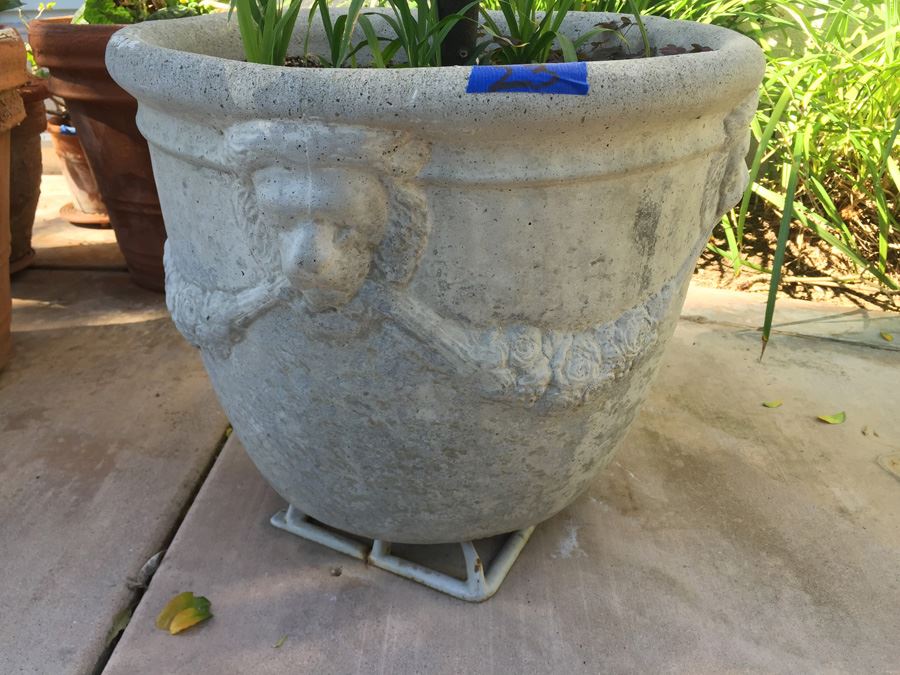 Large Potted Tree [Photo 7]