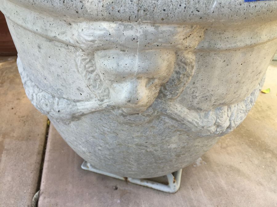 Large Potted Tree [Photo 6]