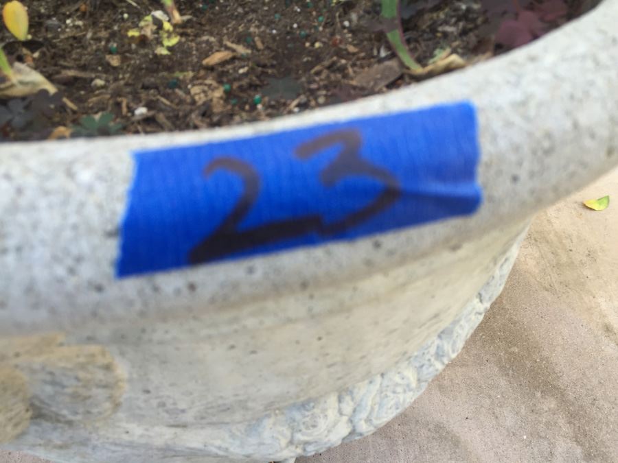 Large Potted Tree [Photo 4]