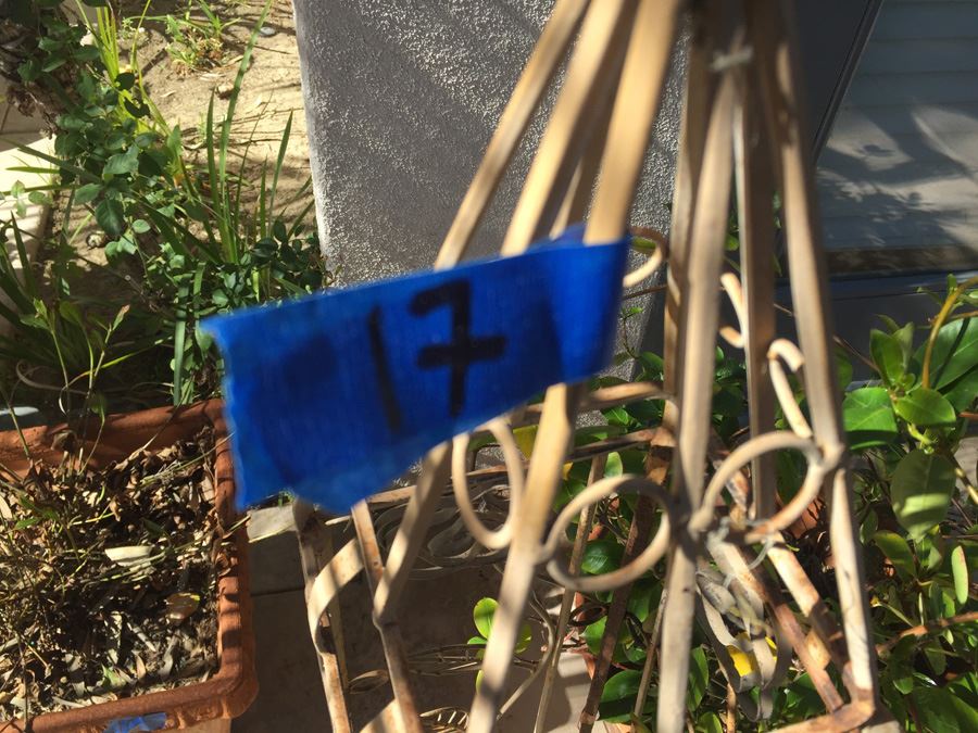 Potted Plant With Metal Garden Architectural Obelisk [Photo 2]