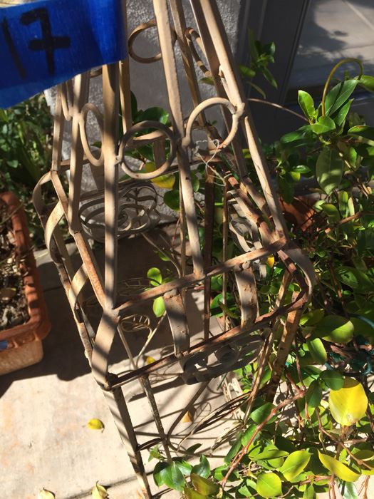 Potted Plant With Metal Garden Architectural Obelisk [Photo 3]