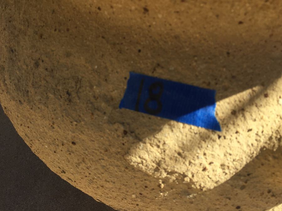 Large Potted Plant [Photo 4]