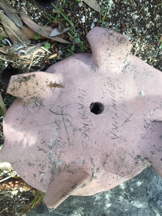 Turtle Pottery Signed Escuela De Pintura Durango [Photo 3]