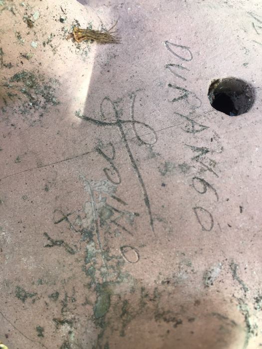 Turtle Pottery Signed Escuela De Pintura Durango [Photo 7]