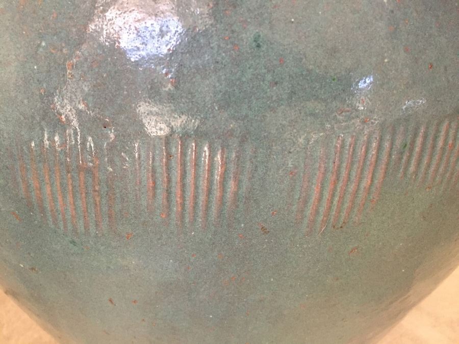 Large Potted Indoor Plant [Photo 3]