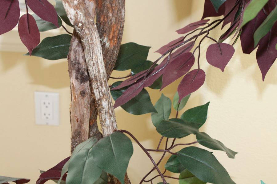 Artificial Plants [Photo 6]