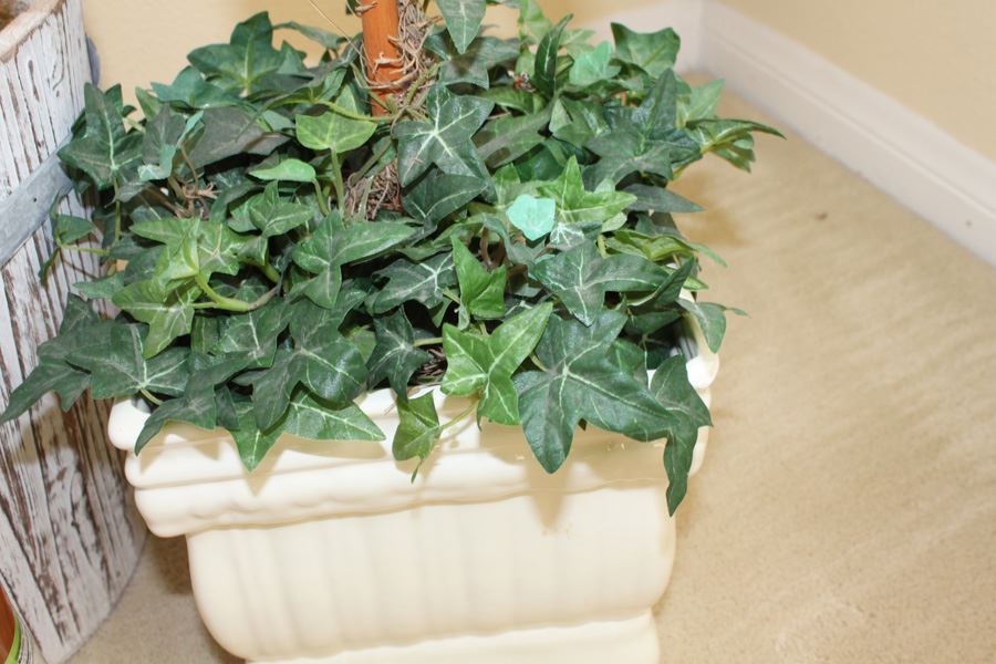 Artificial Plants [Photo 5]