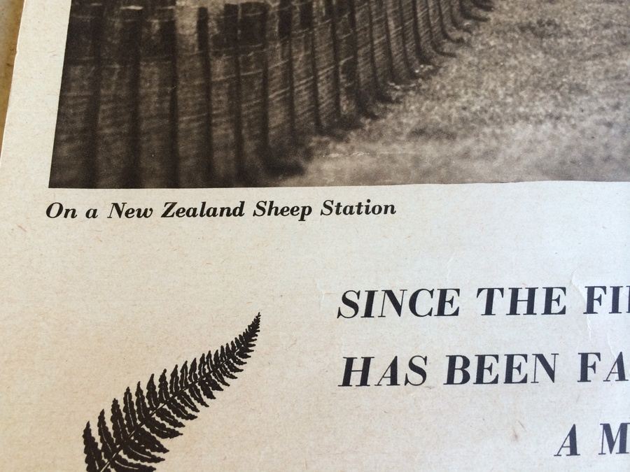 Original Vintage New Zealand Travel Poster [Photo 2]