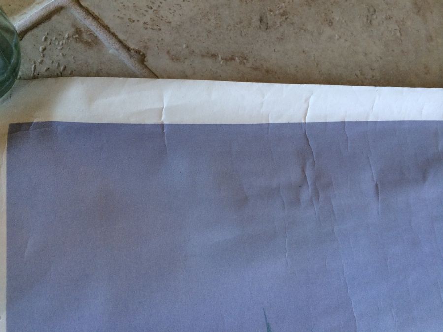 Original Vintage India Travel Poster [Photo 9]