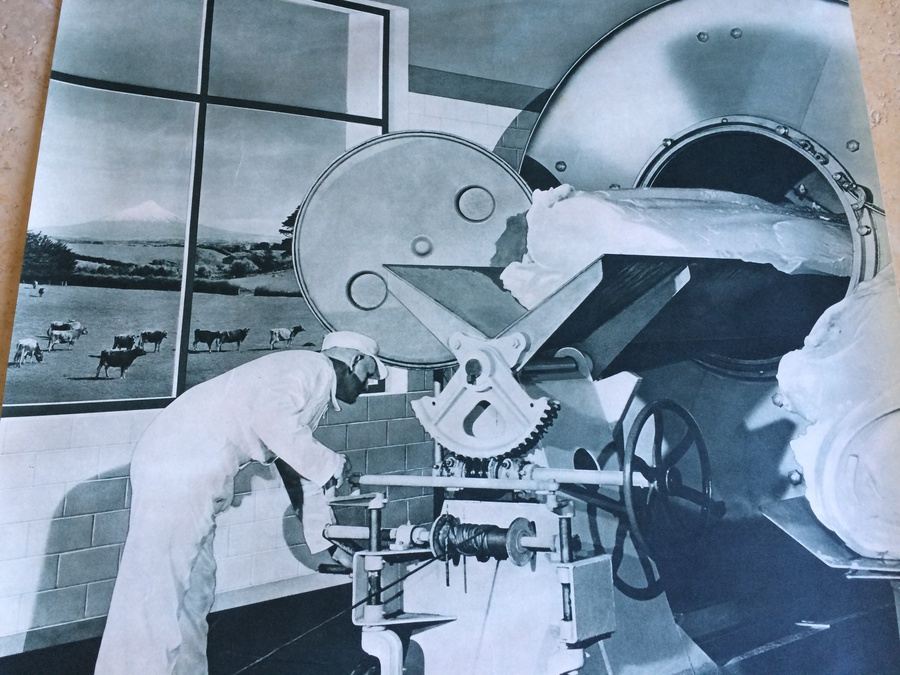 Original Vintage New Zealand Travel Poster [Photo 4]