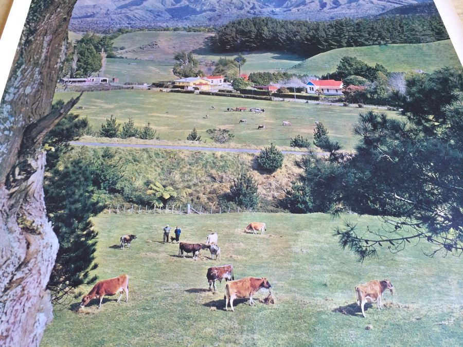 Original Vintage New Zealand Travel Poster [Photo 6]