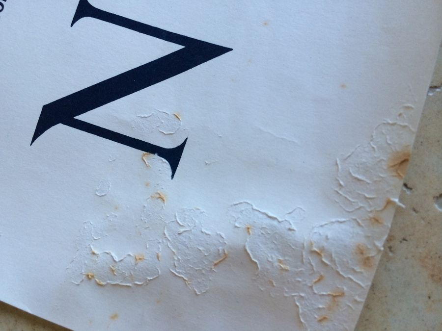 Original Vintage New Zealand Travel Poster [Photo 8]