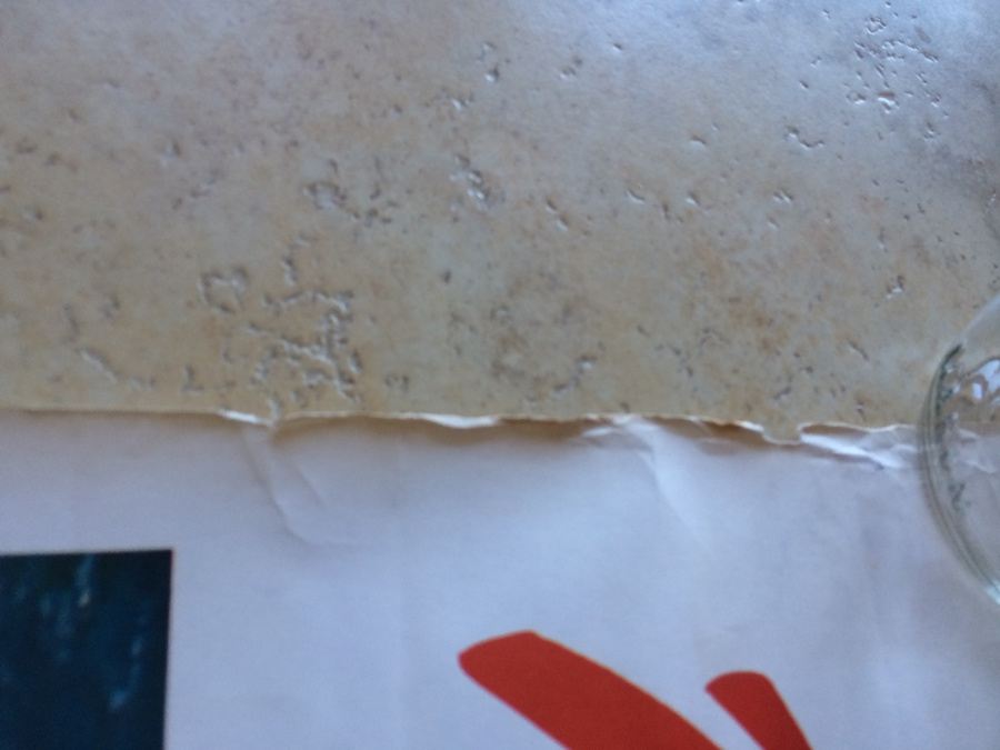 Original Vintage New Zealand Travel Poster [Photo 9]