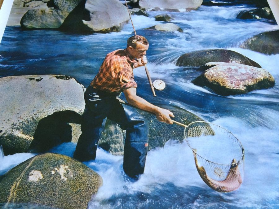 Original Vintage New Zealand Travel Poster [Photo 7]