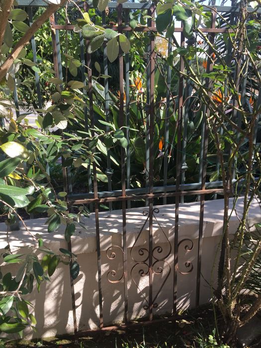 Wrought Iron Flower Trellis [Photo 3]