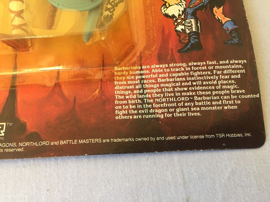 Advanced Dungeons & Dragons Action Figure NORTHLORD Great Barbarian New On Card TSR 1983 [Photo 9]