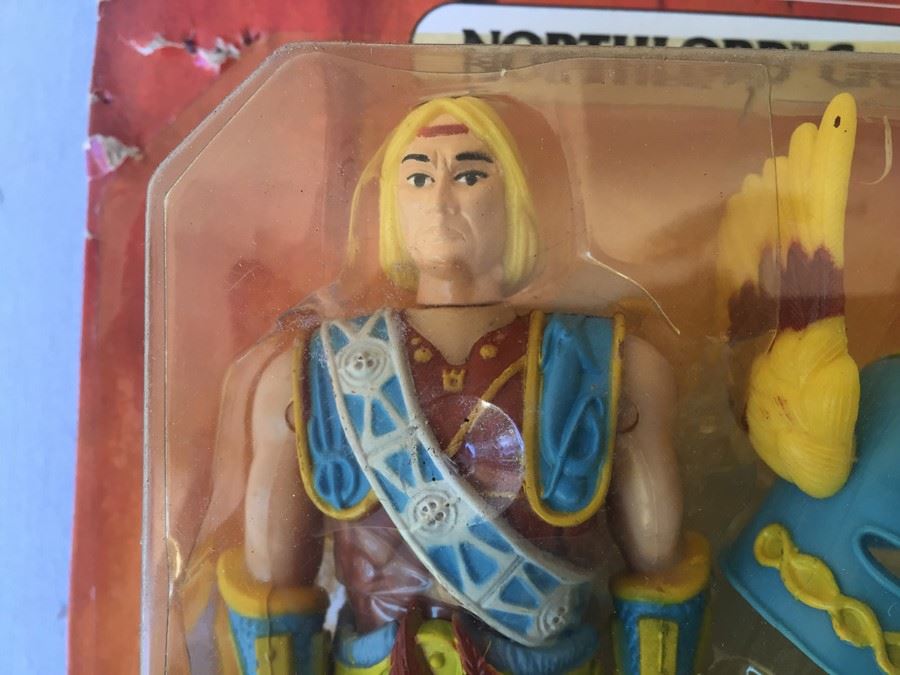Advanced Dungeons & Dragons Action Figure NORTHLORD Great Barbarian New On Card TSR 1983 [Photo 5]