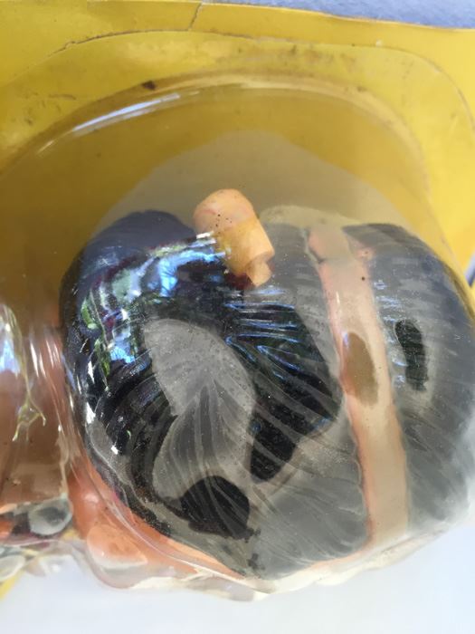 Lone Ranger Action Water Gun New On Card Durham 1974 Tonto Butch Cavendish [Photo 8]