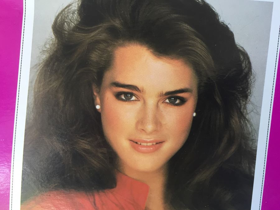 Brooke Shields Teenage Doll New In Box LJN 1982 [Photo 8]