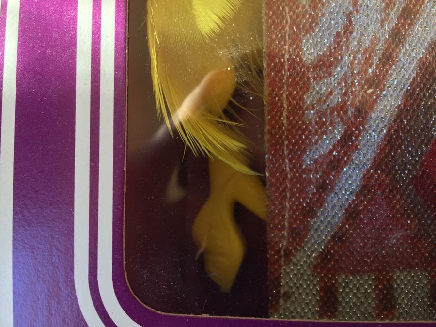 CHER Designer Collection Mego Designed By Bob Mackie Indian Squaw 1976 [Photo 8]