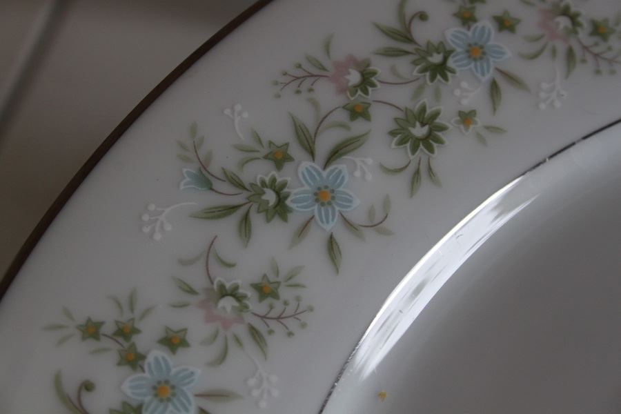 Noritake Japan China Set Savannah Pattern [Photo 10]