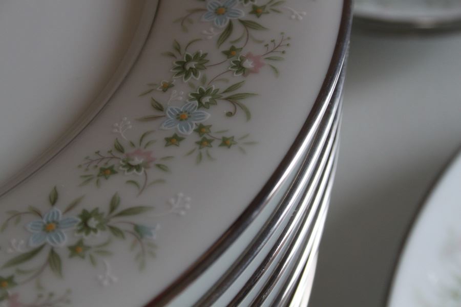 Noritake Japan China Set Savannah Pattern [Photo 7]