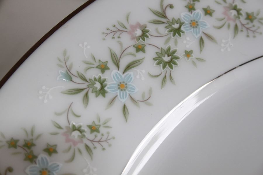 Noritake Japan China Set Savannah Pattern [Photo 9]