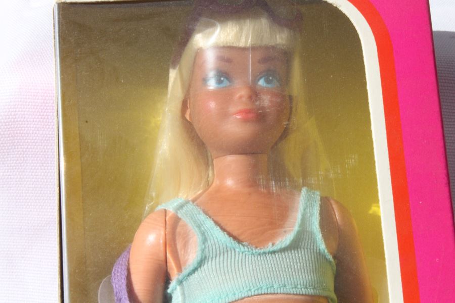 malibu skipper barbie doll