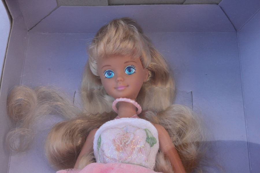 Teen Sweetheart Skipper Barbie Mattel New In Box 1987