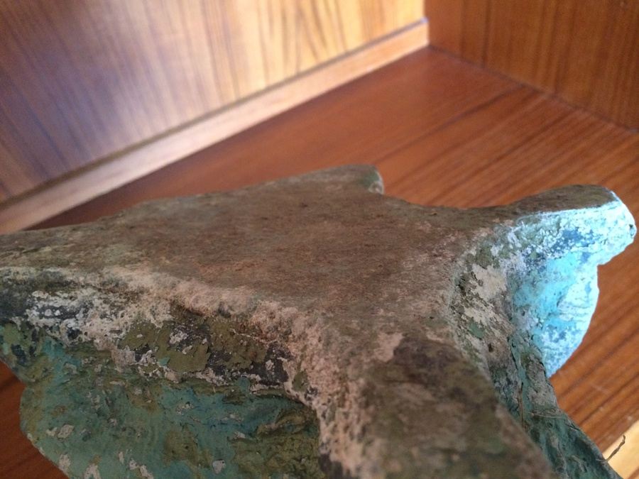 Chippy Turtle Garden Art Statue (Heavy) [Photo 6]