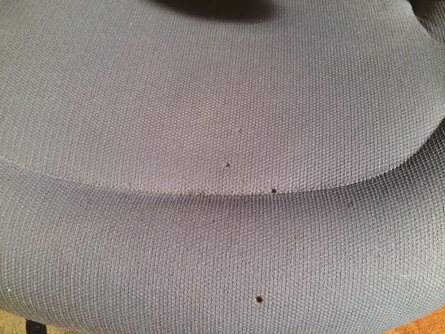 Herman Miller Office Chair [Photo 7]