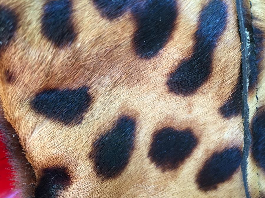 Animal Pattern Italian Handbag [Photo 4]