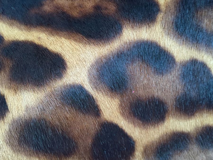 Animal Pattern Italian Handbag [Photo 8]