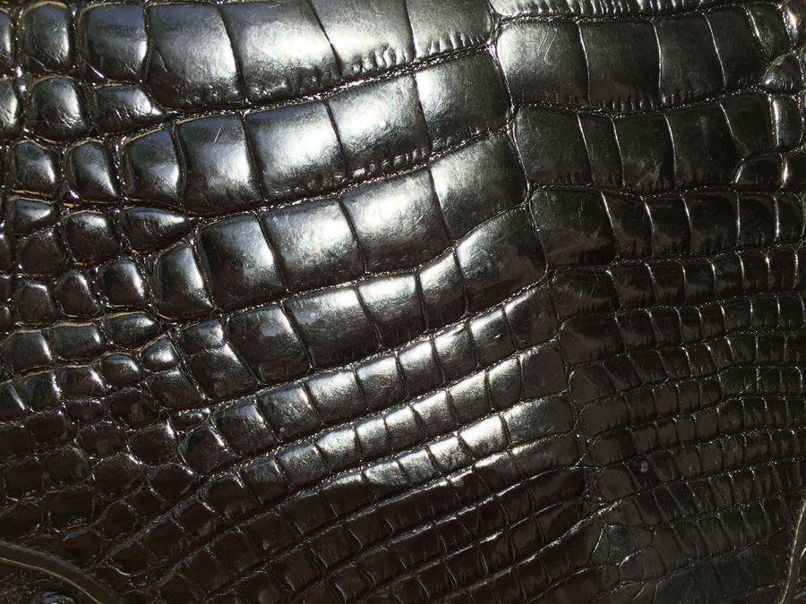 Black Varon Croc Embossed Handbag [Photo 5]