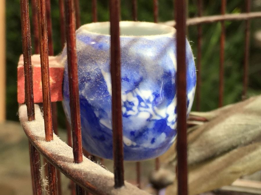 Hong Kong Bird Cage From The 'Bird Market' [Photo 5]