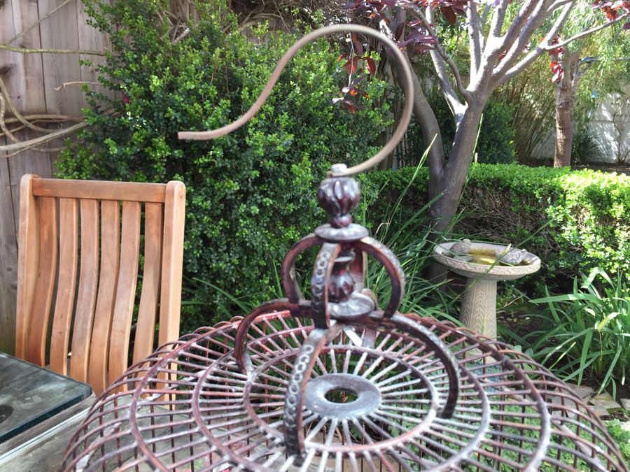 Hong Kong Bird Cage From The 'Bird Market' [Photo 7]