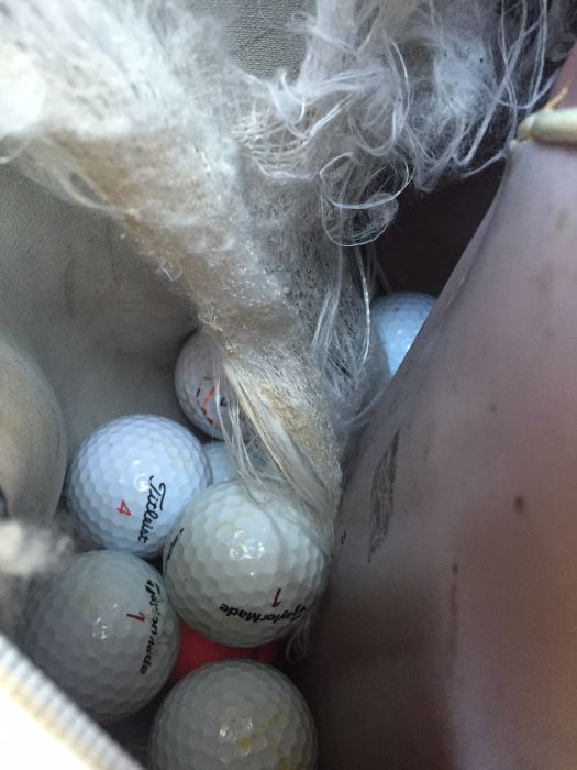 Golfing Lot Includes Clubs, Golf Bag And Golf Balls [Photo 6]