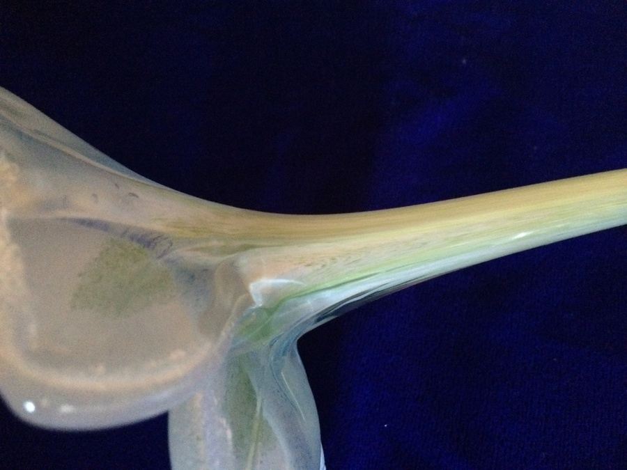 Signed Blown Glass Flower Vases [Photo 5]