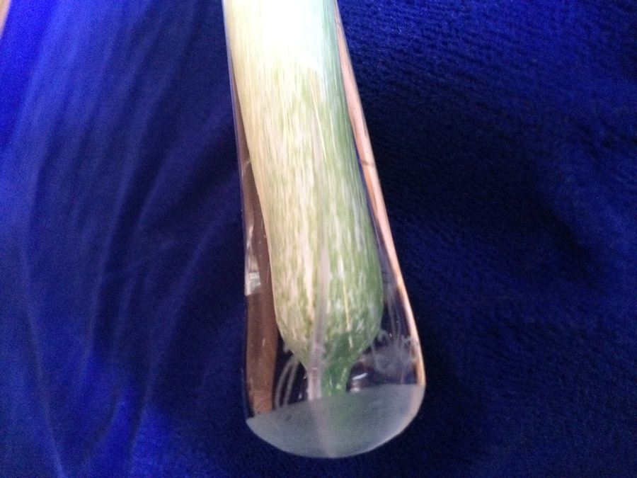 Signed Blown Glass Flower Vases [Photo 14]