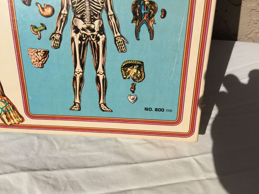 The Visible Man By Renwal In Box No. 800 :598 [Photo 6]