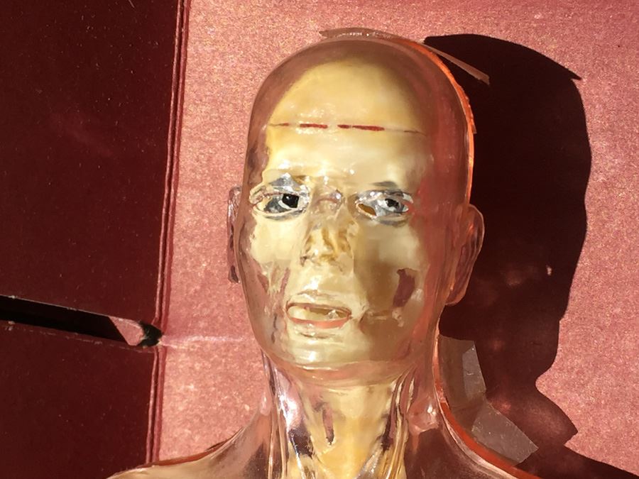 The Visible Man By Renwal In Box No. 800 :598 [Photo 3]